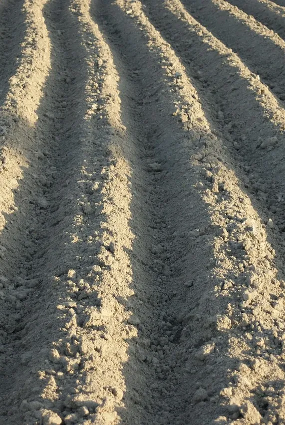 Crop production in democratic republic of the yoruba