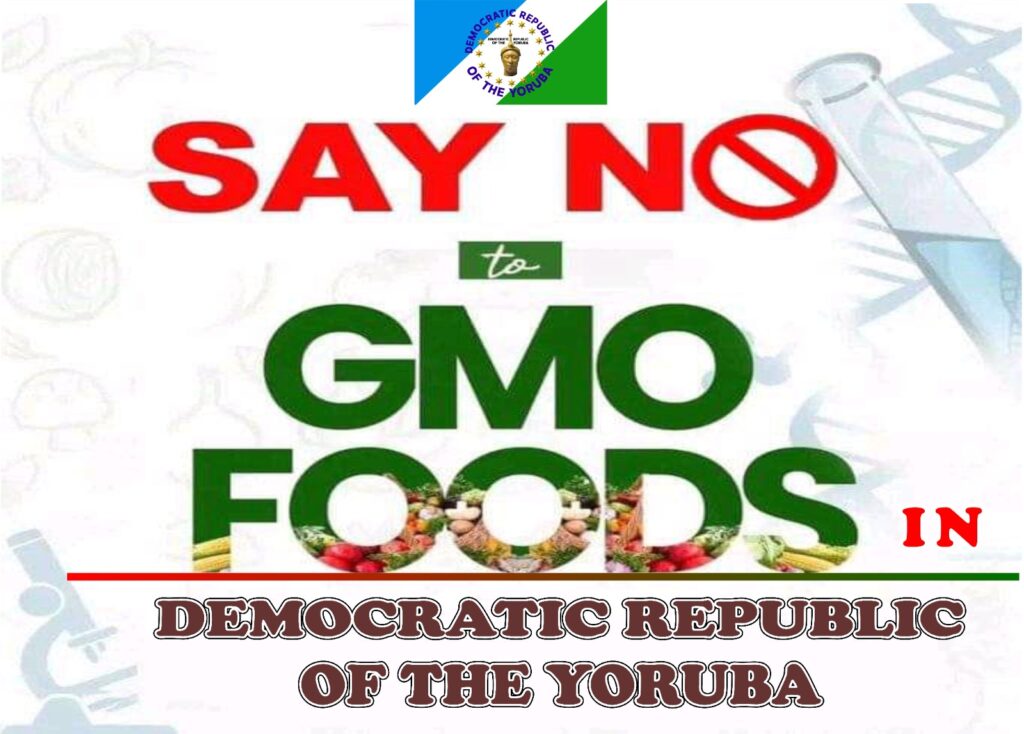 Say no to GMO foods in yoruba